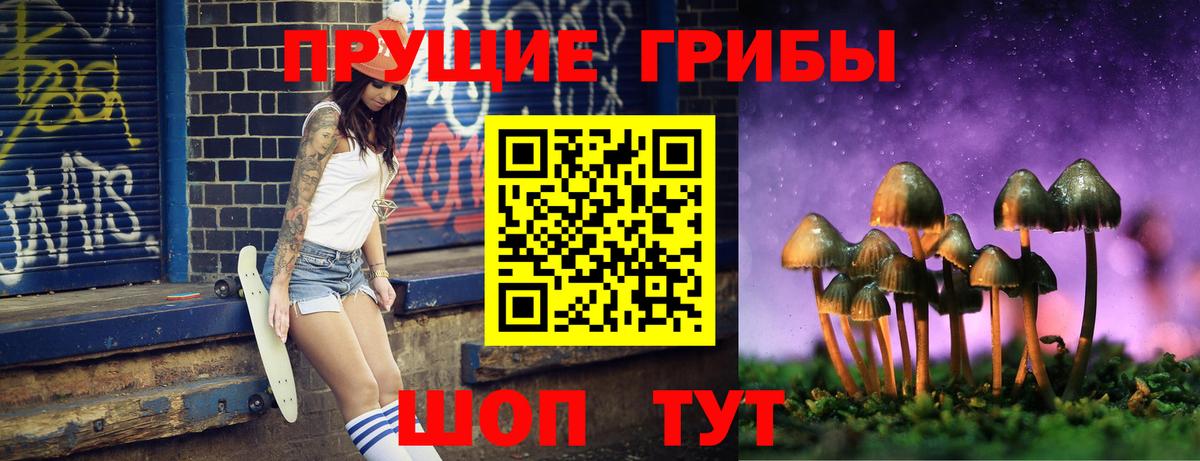 Псилоцибиновые грибы GOLDEN TEACHER Павловский Посад