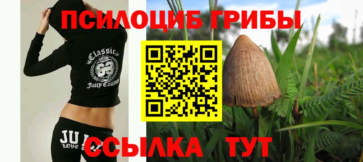 Псилоцибиновые грибы Cubensis  Вход с VPN  Псилоцибиновые грибы мицелий  Павловский Посад 